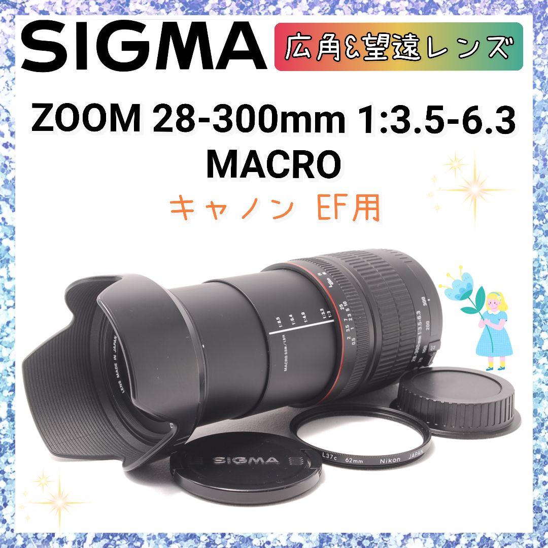 ❤即購入1000円OFF❤シグマ SIGMA 28-300mm Canon EF Amazon.co.jp: シグマ 120-300mm F2.8 APO EX DG HSM キヤノン用