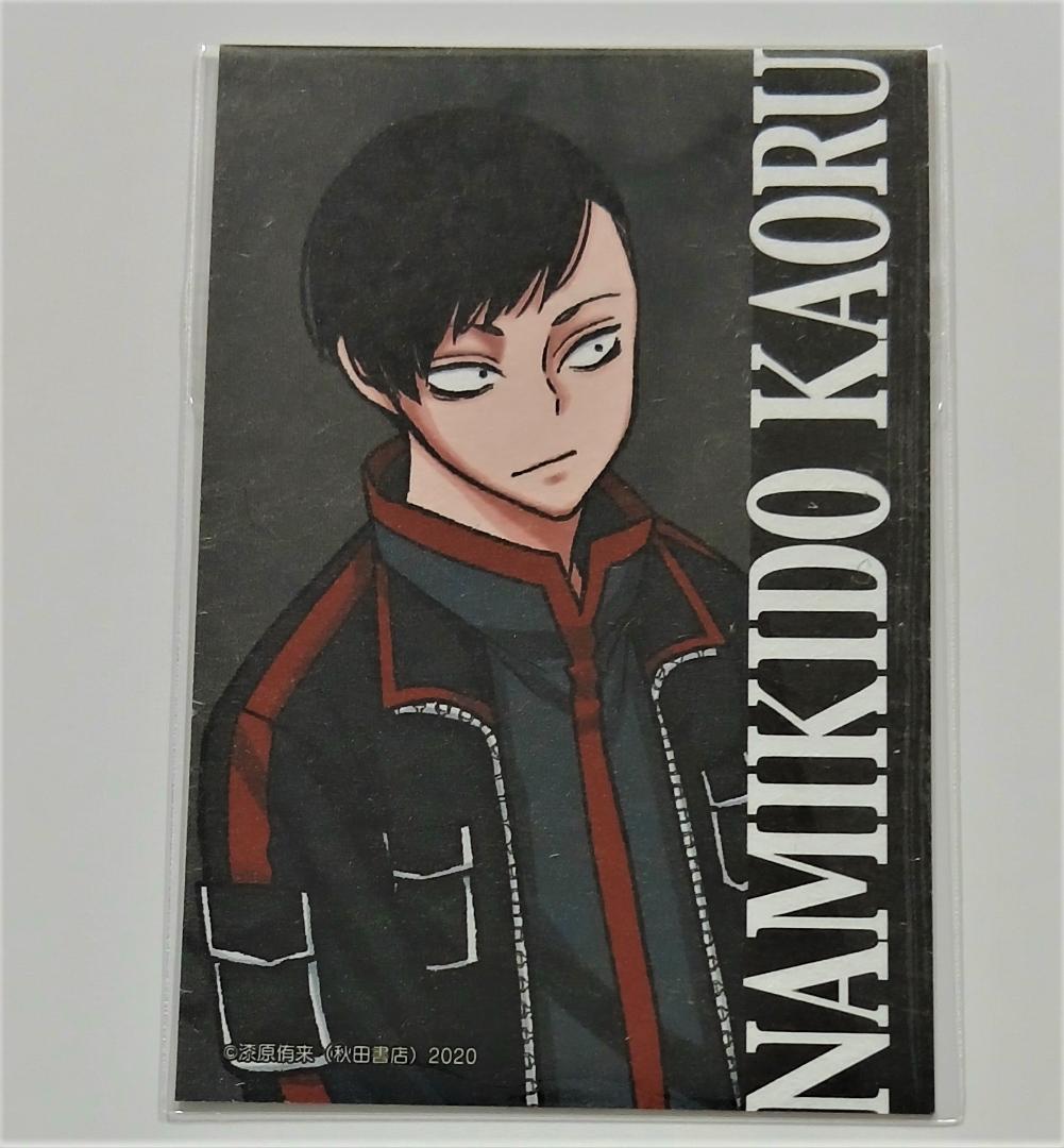 桃源暗鬼 トレーディングキャラカード 並木度馨 - メルカリ