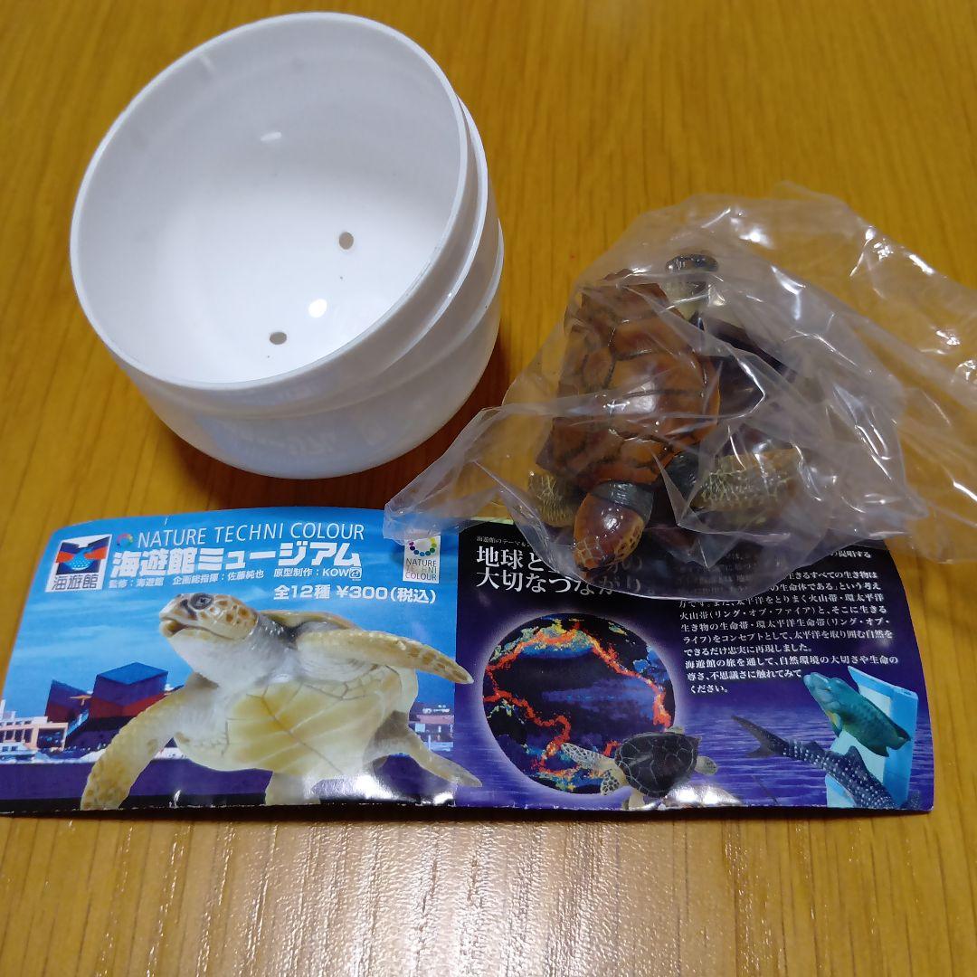 ネイチャーテクニカラー フィギュア 海遊館ミュージアム限定　全12種　新品
