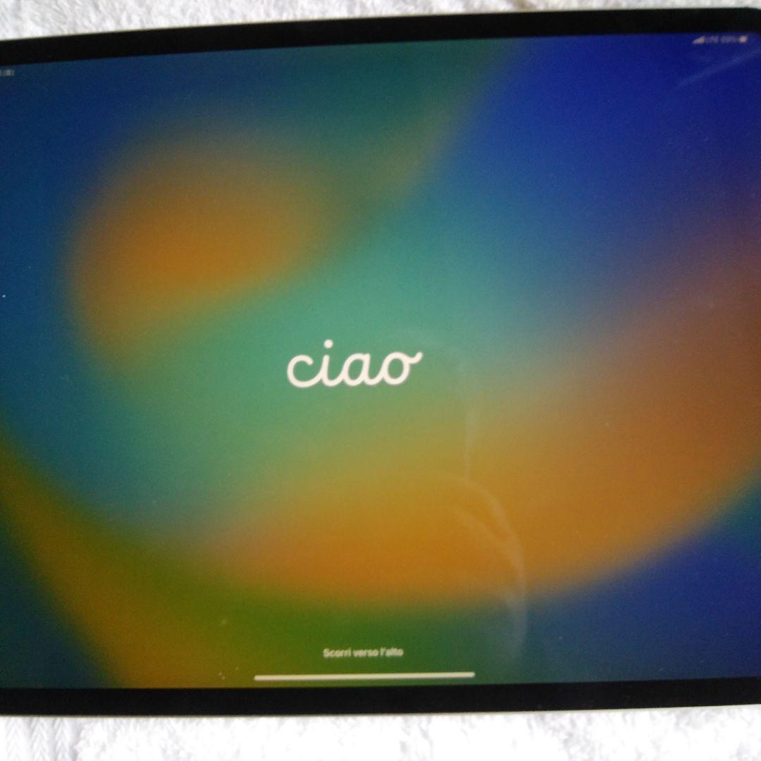 IPAD PRO 12.9インチ 第3世代 256GB MTJ62J/A Apple iPad Pro 12.9インチ 第6世代 Wi-Fi 256GB 2022年秋モデル