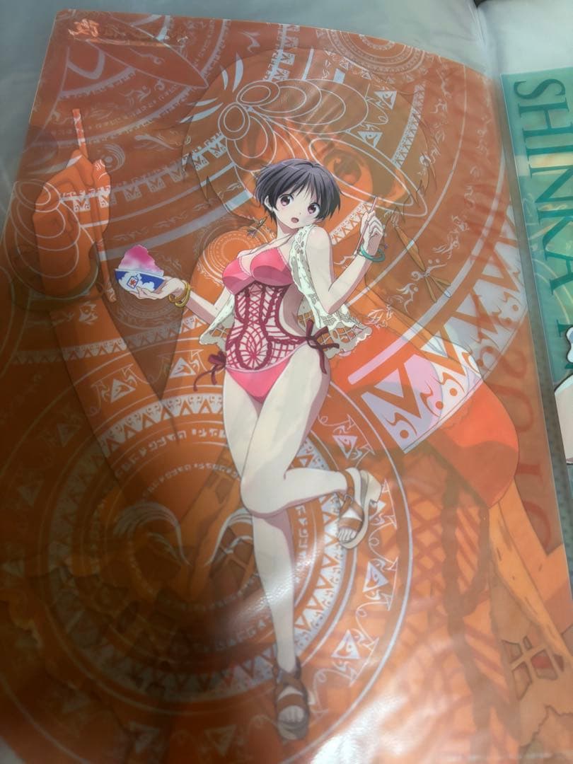 中二病でも恋がしたい! 小鳥遊立花・改　クリアファイル