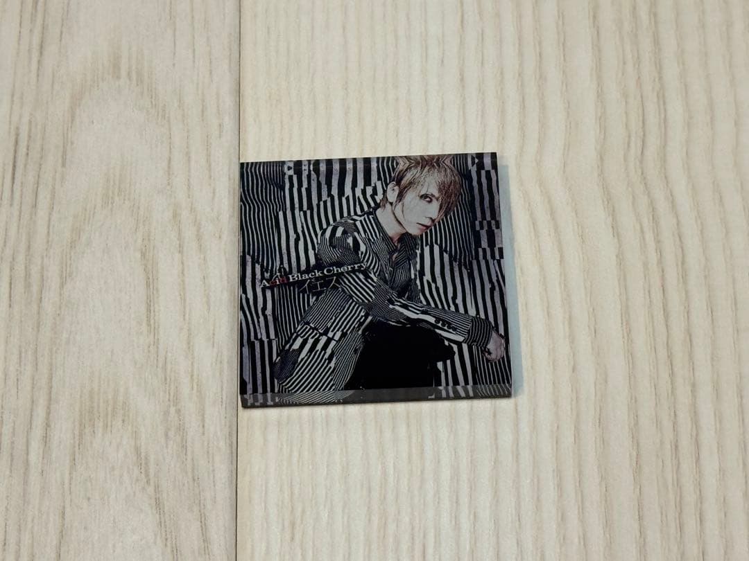 AcidBlackCherry アクリルマグネット