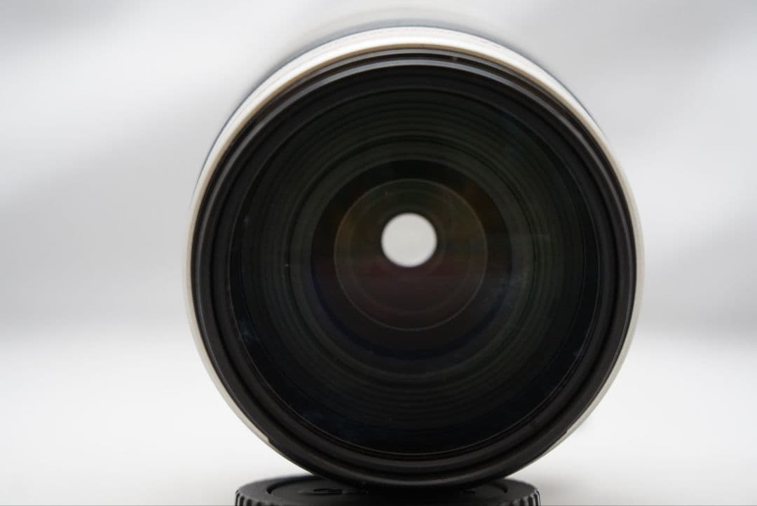 キャノン EF 35-350㎜ F=1:3.5-5.6 L USM 実用品