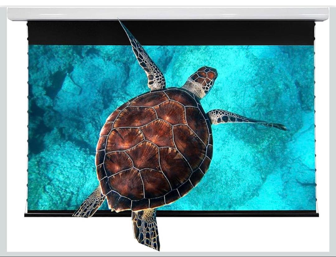 天吊り式 VIVIDSTORM SCREEN　84インチ Amazon | VIVIDSTORM SCREEN PRO 高輝度レザープロジェクター専用耐外