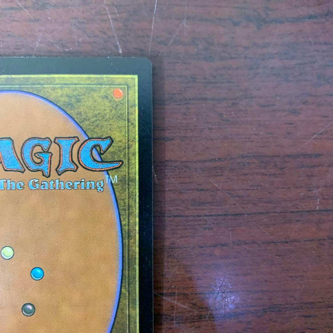 セラの聖域　日本語　マジックザギャザリング