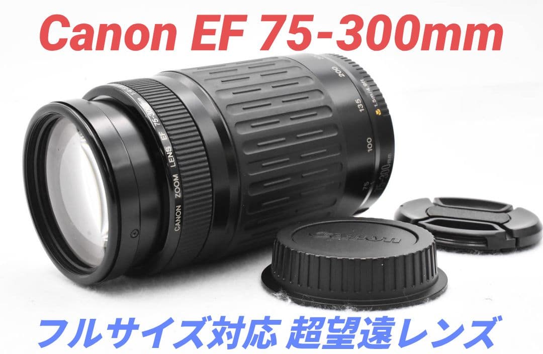 9月16日限定販売✨【超望遠レンズ】Canon EF 75-300mm 望遠ズームレンズ“RF75-300mm F4-5.6”を発売 携帯性に優れた小型・軽量
