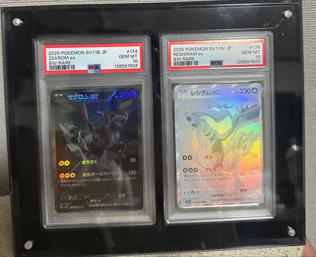 ゼクロムEX & レシラムEX PSA GEM MT 10 連番 SM11b_36_R_JP_SM.png