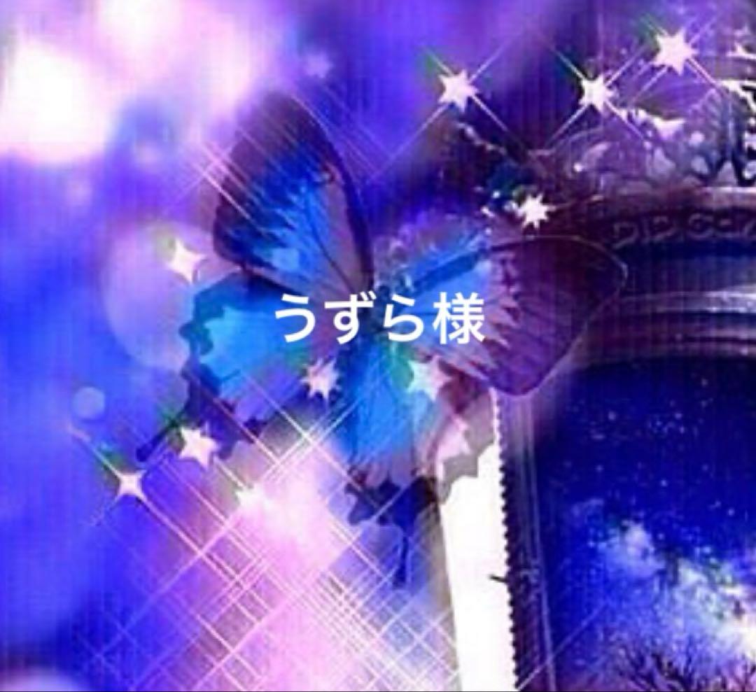 うずら様 81rMziASypL._AC_UF350,