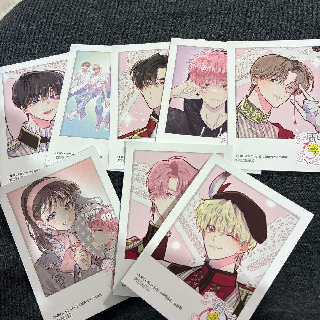 8枚多聞くん今どっち!? アニメイト特典 ミニフォトカード