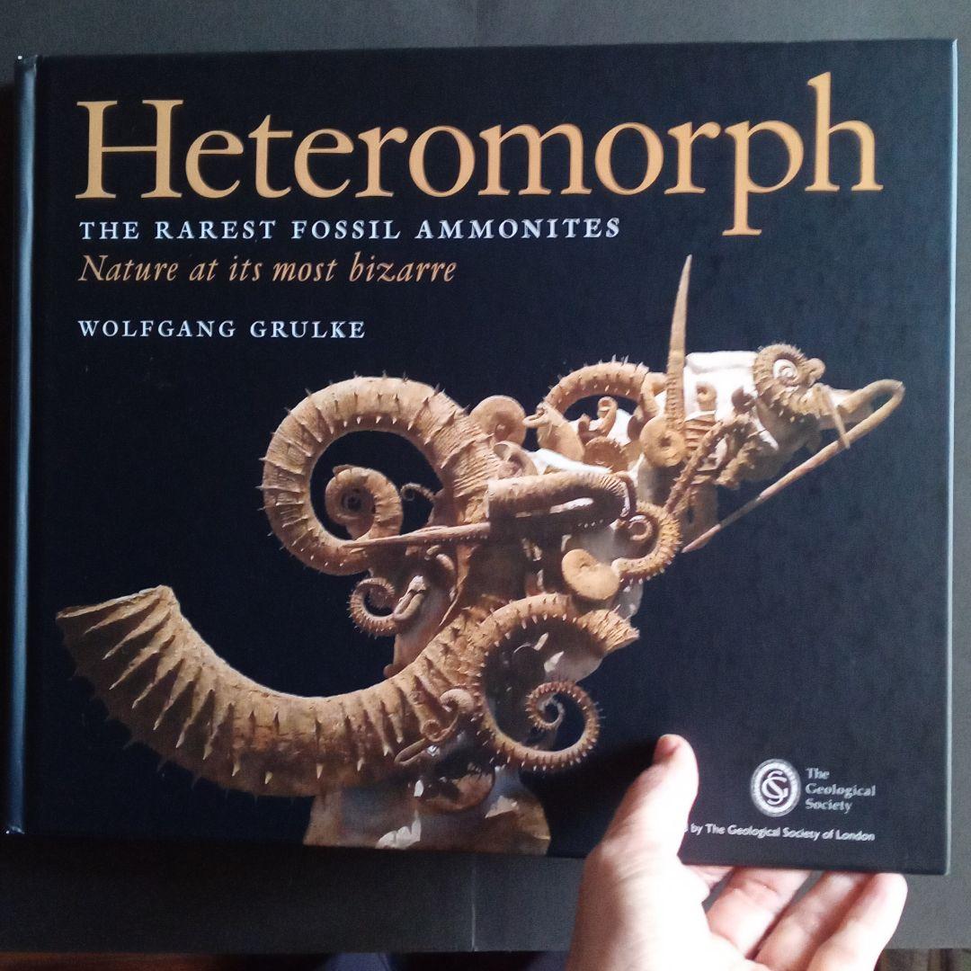 化石　図鑑　異常巻き　アンモナイト　超豪華本 楽天市場】アンモナイト最新化石図鑑 アンモナイト 蘇る太古からの秘宝