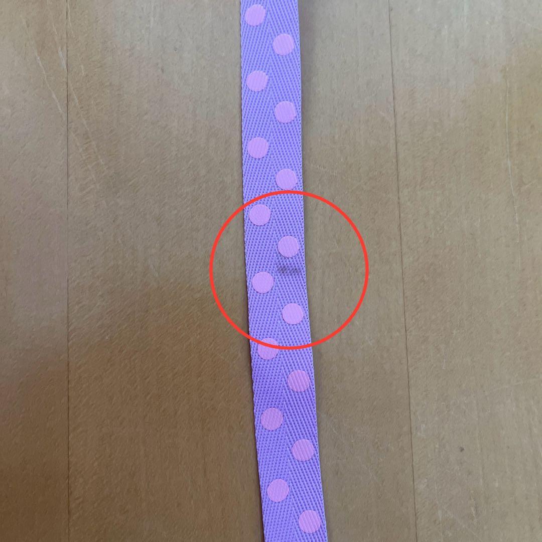 ディズニー ミニー デイジー リボン ポップコーンバケット セット