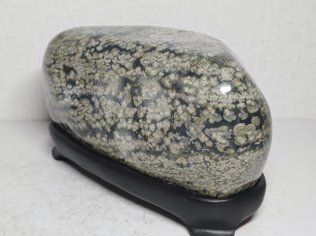 花紋石 1.8kg 錦石 菊花石 紋石 鑑賞石 原石 自然石 天然石 水石