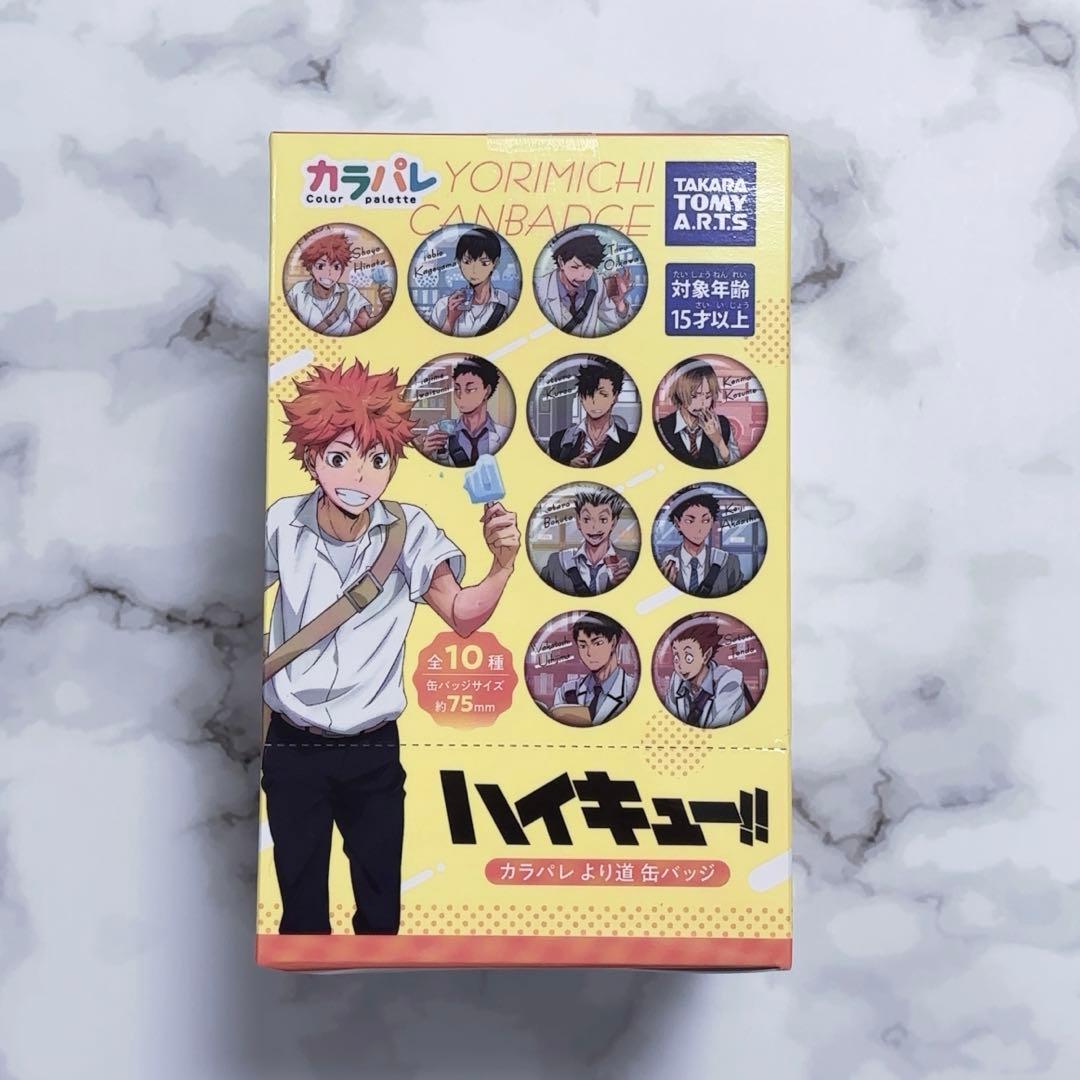 ハイキュー!! ハイキュー カラパレ より道缶バッジセット 全10種 缶バ