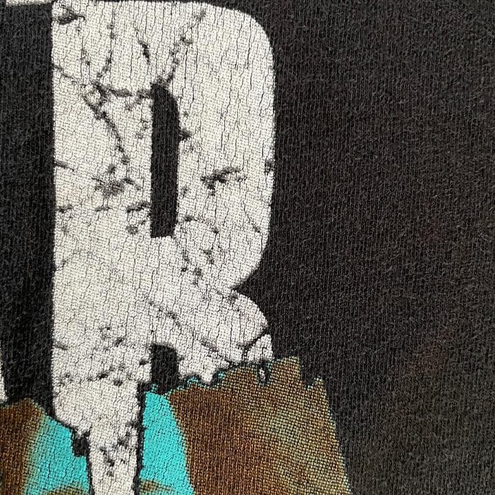 PANTERA Tシャツ 93 L VULGAR Hanes Winter