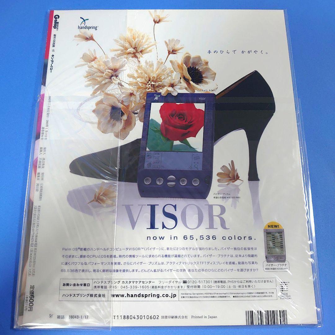 【稀少】キングヘイロー ぬいぐるみ ウマ娘 アイドルホース 競馬 AVANTI