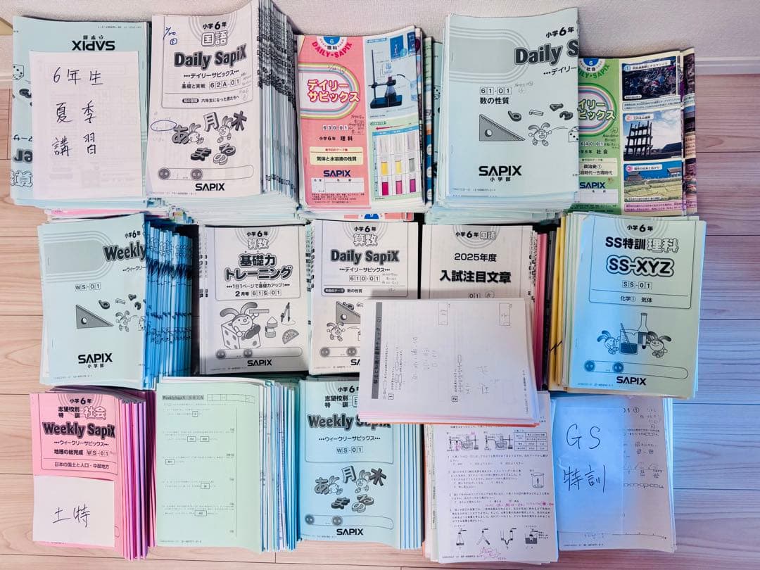 サピックス SAPIX 6年 最新　算数理科国語社会 テキスト フルセット SAPIX 小6 サピックス 社会 日本国憲法 2024 005s2B : ブックス
