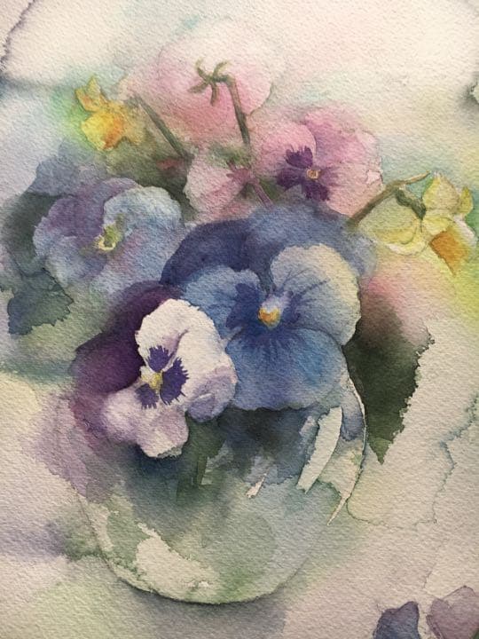 透明水彩画原画、可愛いパンジーB