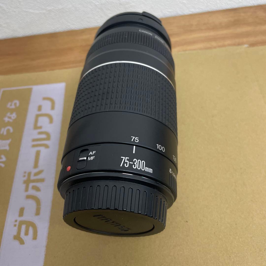 Canon EF 75-300mm f/4-5.6 ズームレンズ