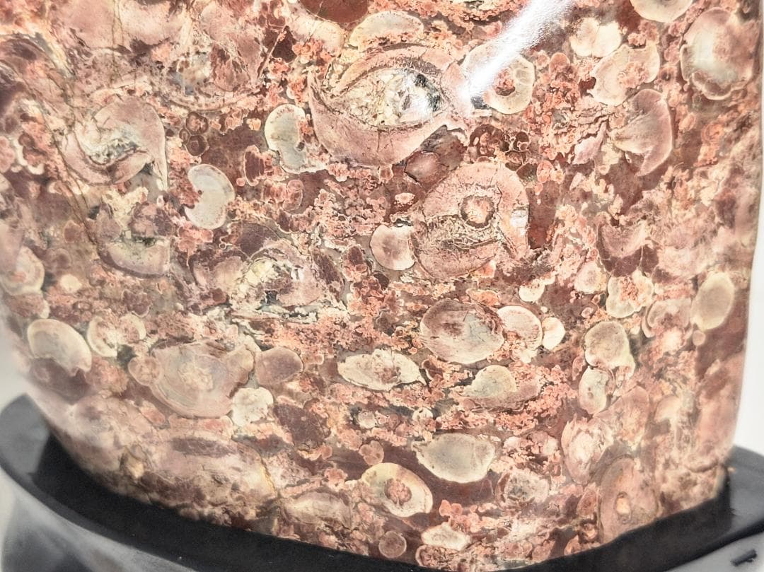 越前 2.4kg 梅花石 紋石 原石 鑑賞石 自然石 誕生石 鉱物 鉱石 水石