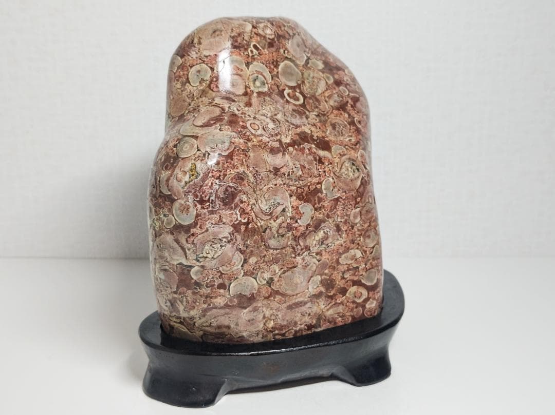 越前 2.4kg 梅花石 紋石 原石 鑑賞石 自然石 誕生石 鉱物 鉱石 水石