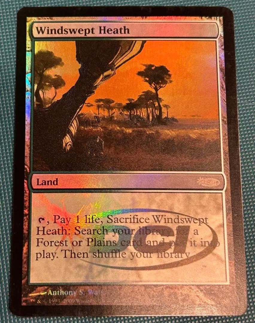 英語版 吹きさらしの荒野/Windswept HeathMTG 吹きさらしの荒野 Foil