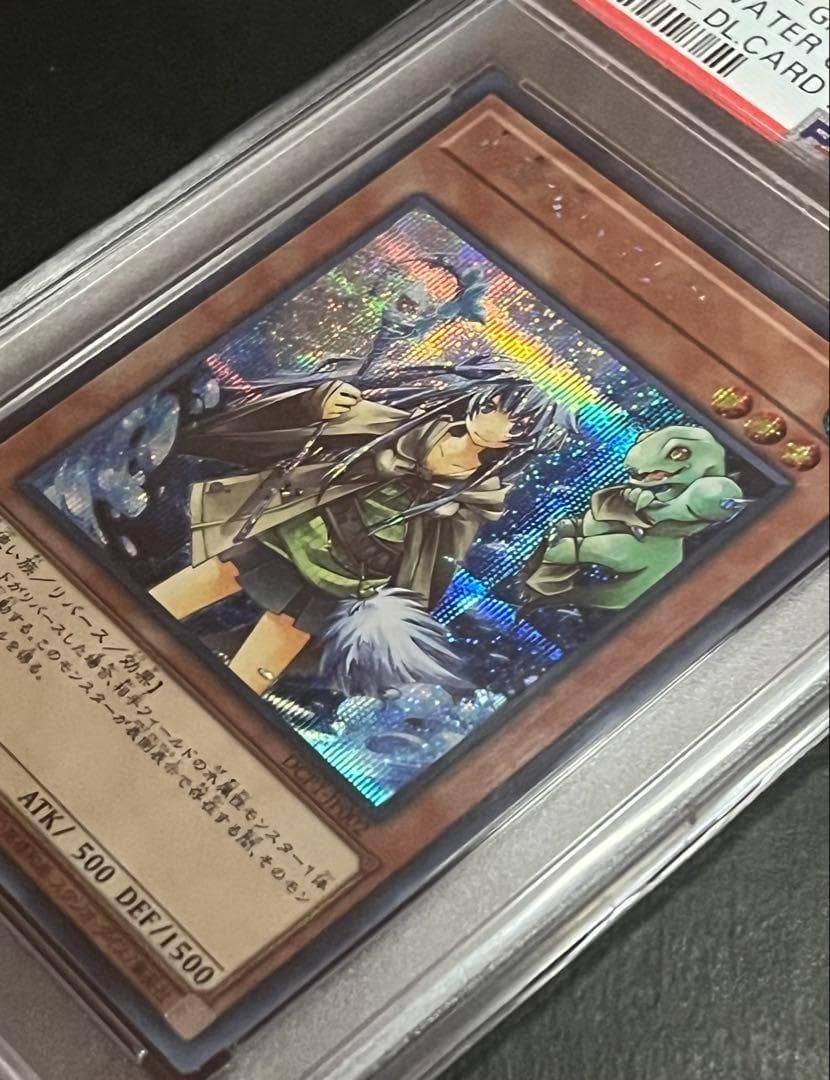 【PSA10:鑑定66枚】水霊使いエリア 遊戯王
