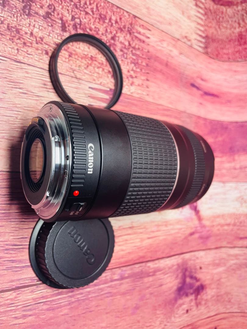 CANON キャノン EF 75-300mm1:4-5.6 Ⅲ USM