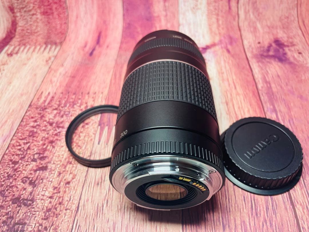 CANON キャノン EF 75-300mm1:4-5.6 Ⅲ USM