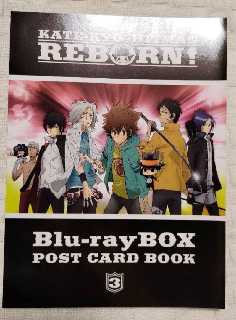 家庭教師ヒットマンreborn きゃにめ ポストカード レア 希少