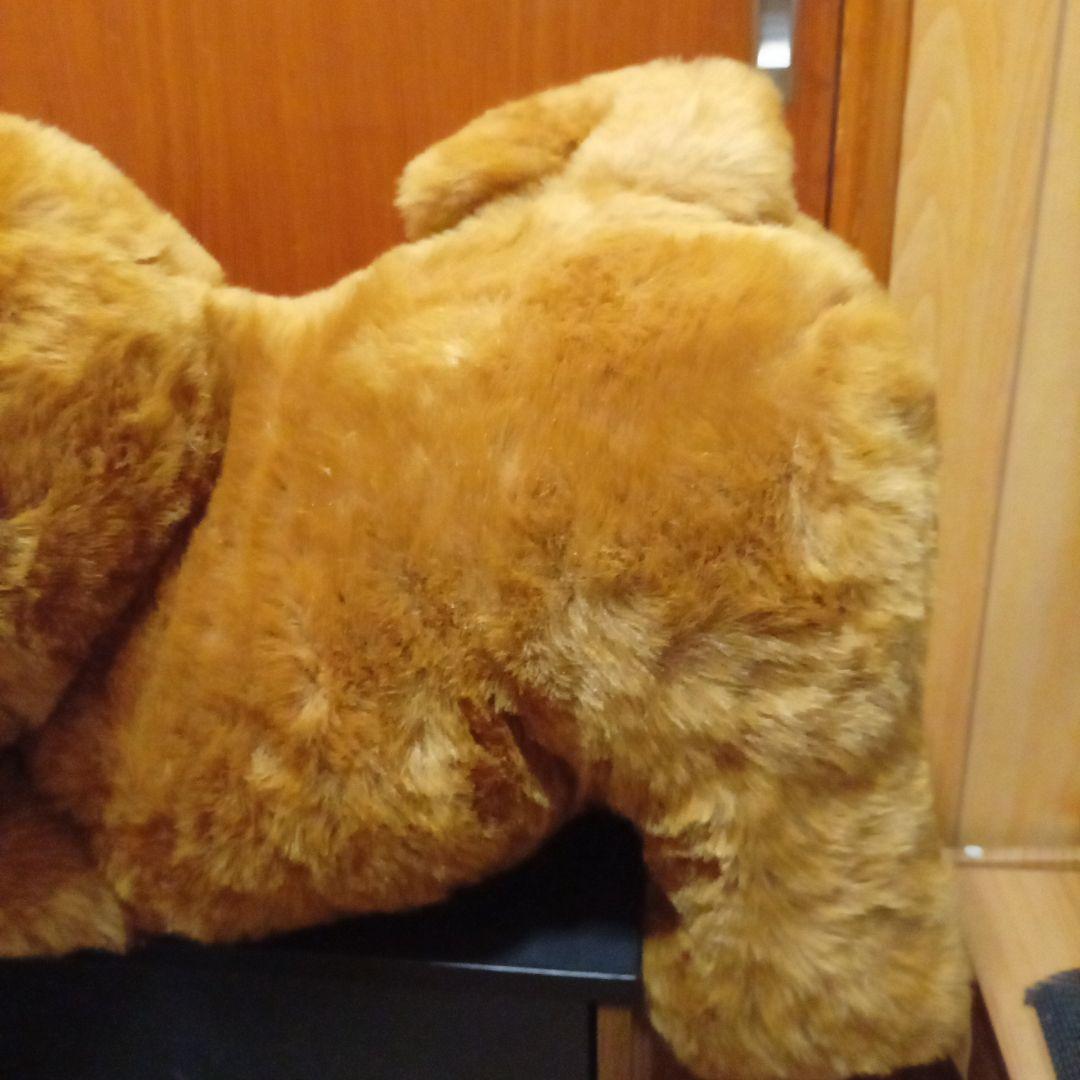 チャウ犬　中国犬　 ぬいぐるみの三英　特大ぬいぐるみ サイズ　68cm