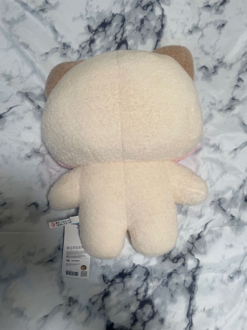 【希少！】zeroni フラットぬいぐるみ　ジャンハオ　zb1 ハニ二トレカ付き