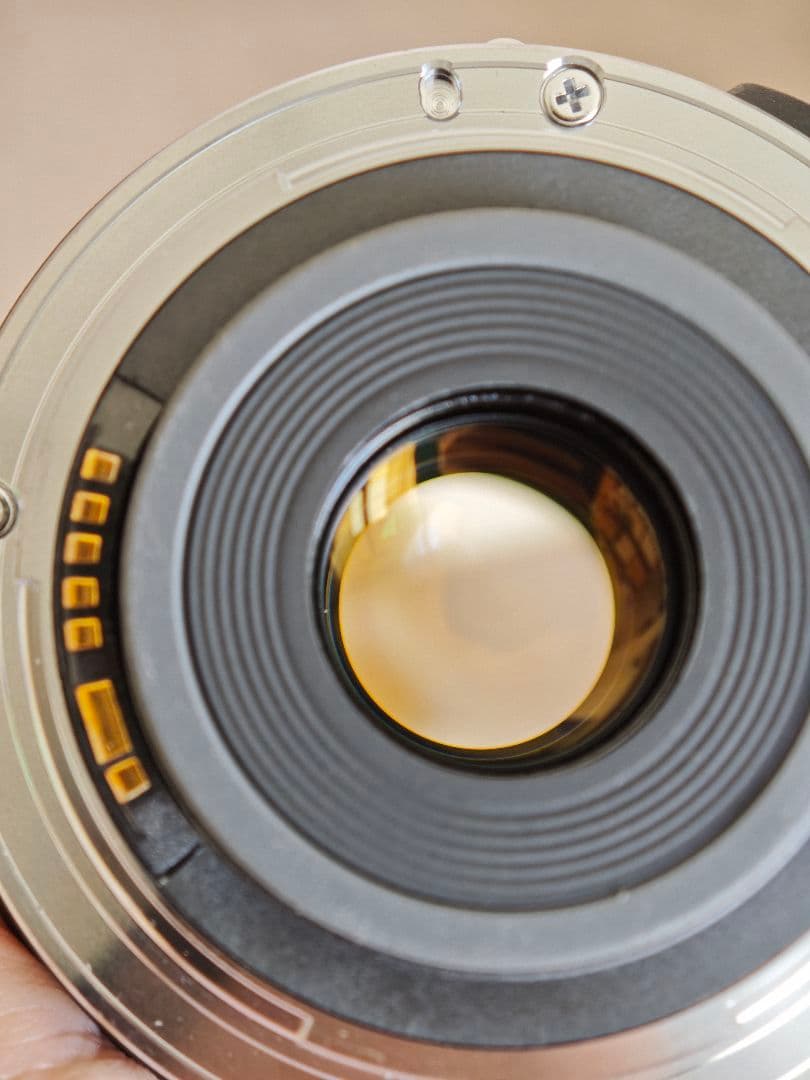 Canon EF-S 10-22mm f/3.5-4.5 USM ポーチ付き