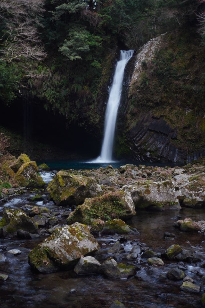 E16-50mm F3.5-5.6 OSS ズームレンズSELP1650