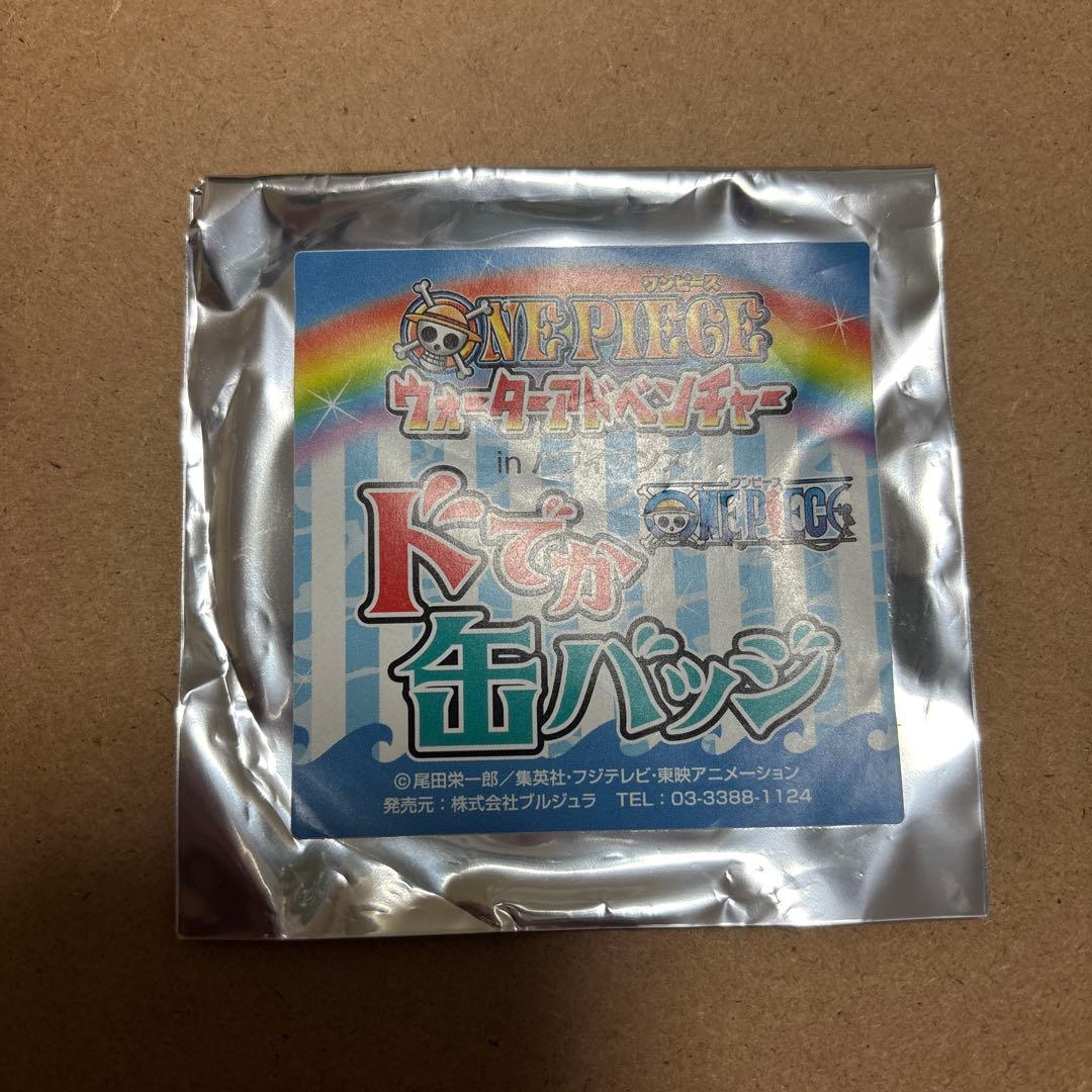 ハワイアンズ　缶バッジ　ロビン