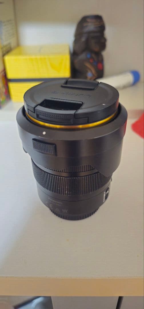 LEICA DG12-60mm F2.8-4 ズームレンズ