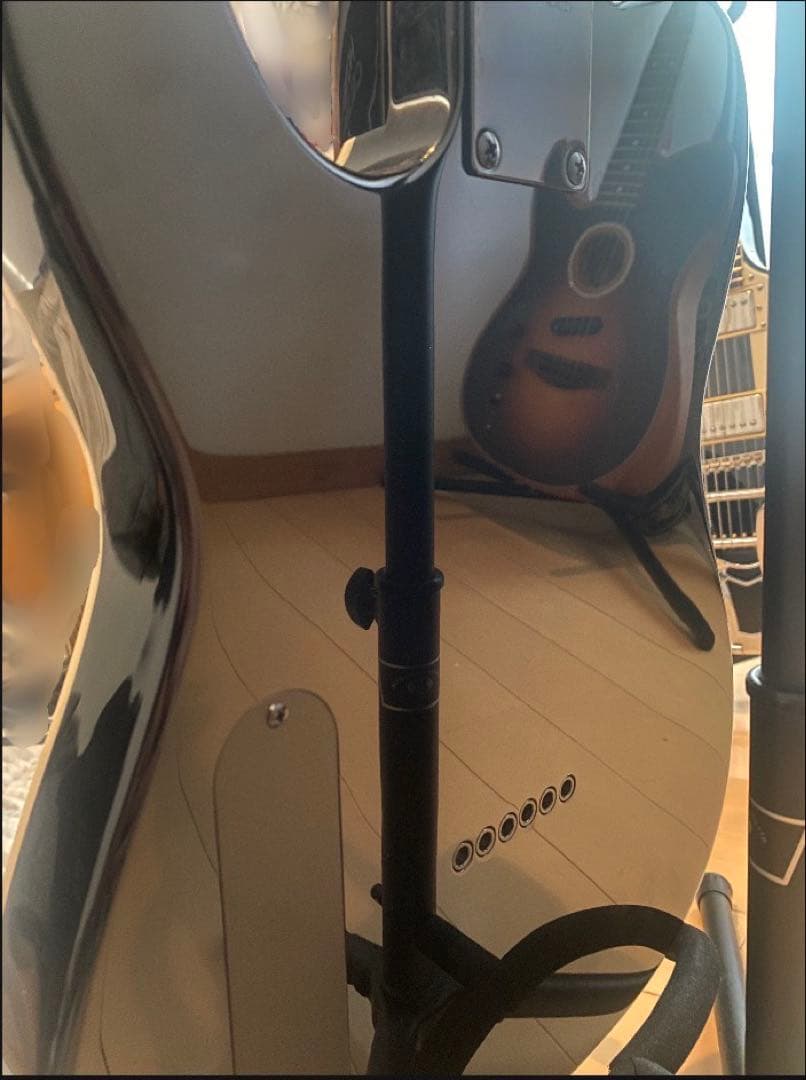 博*文様 【即購入歓迎】FERNANDES ギター