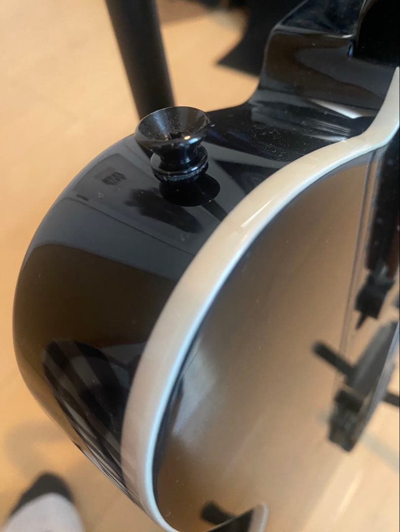 博*文様 【即購入歓迎】FERNANDES ギター