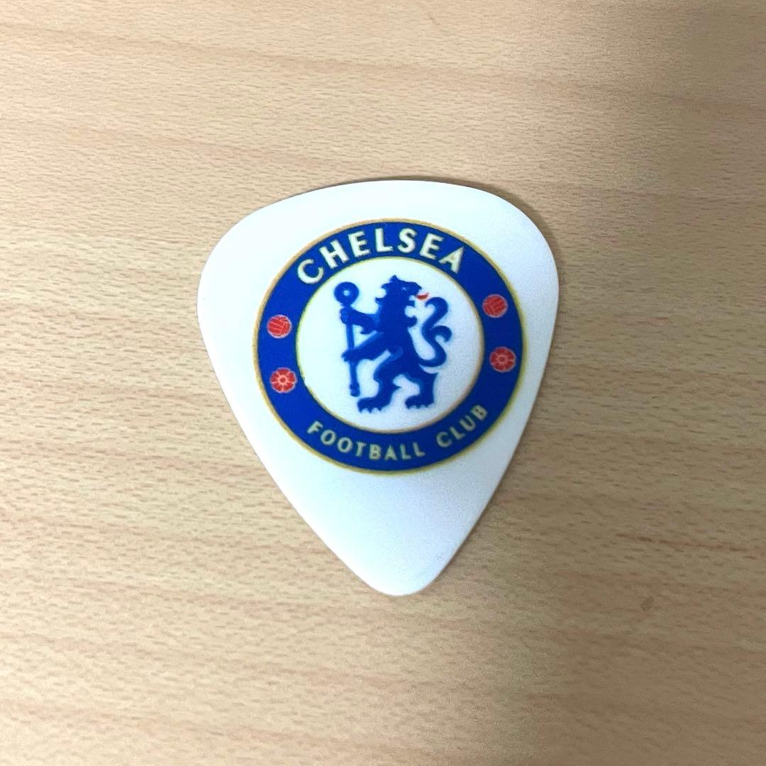 TOOL ギターピック ジャスティン　チャンセラー JAPAN 2025