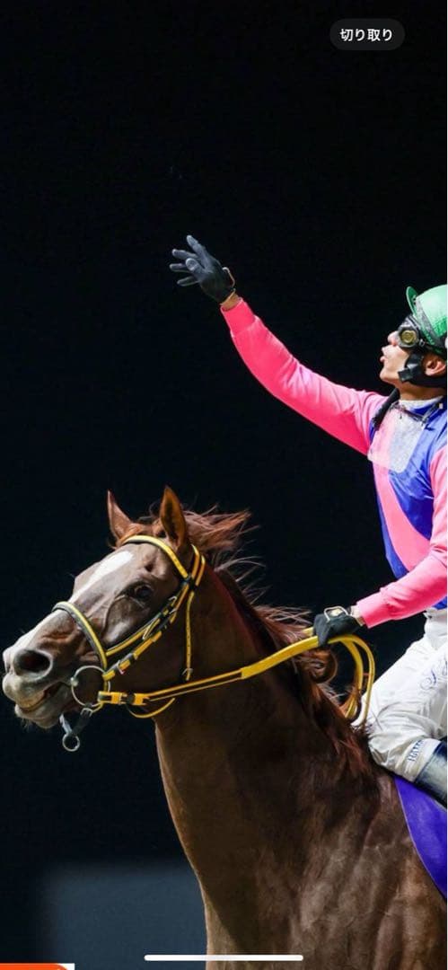 鞭 ステッキ【競馬】 - メルカリ