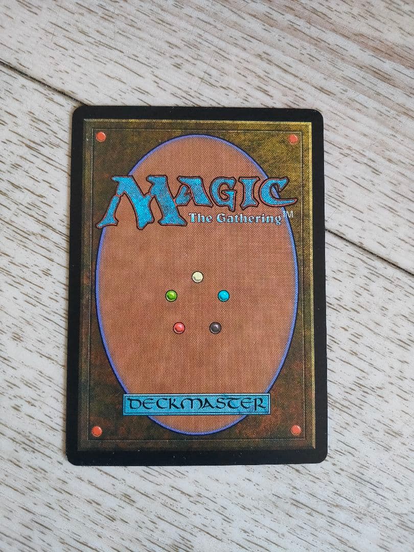 ◆適者生存 日本語1枚