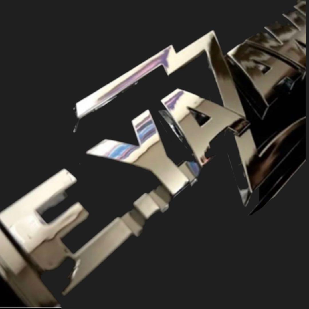 矢沢永吉★E.YAZAWA★エンブレムステッカー★ SILVER★レア　未開封