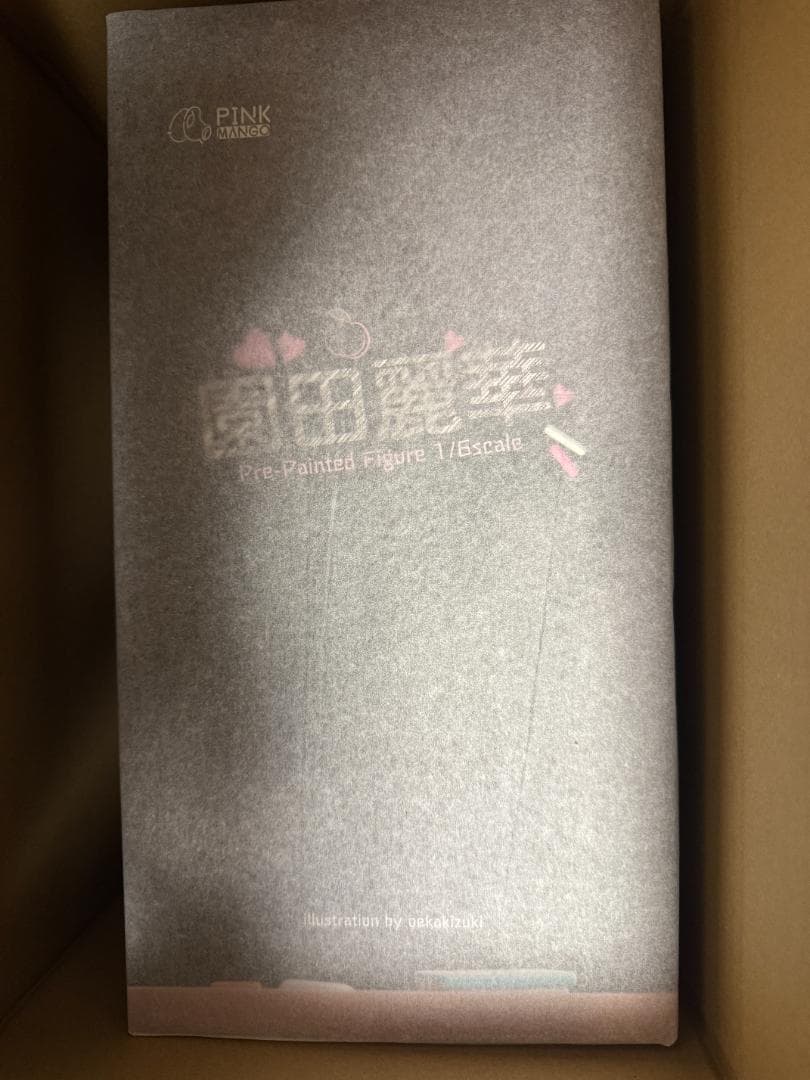 【新品未開封品】園田麗華 特別Ver. 普通版 フィギュア