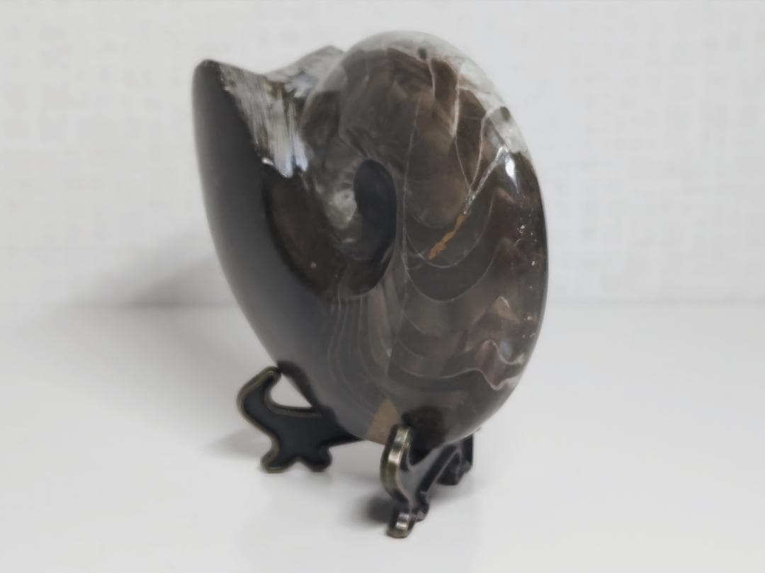 アンモナイト 295g 化石 鑑賞石 原石 自然石 誕生石 鉱石 鉱物 水石