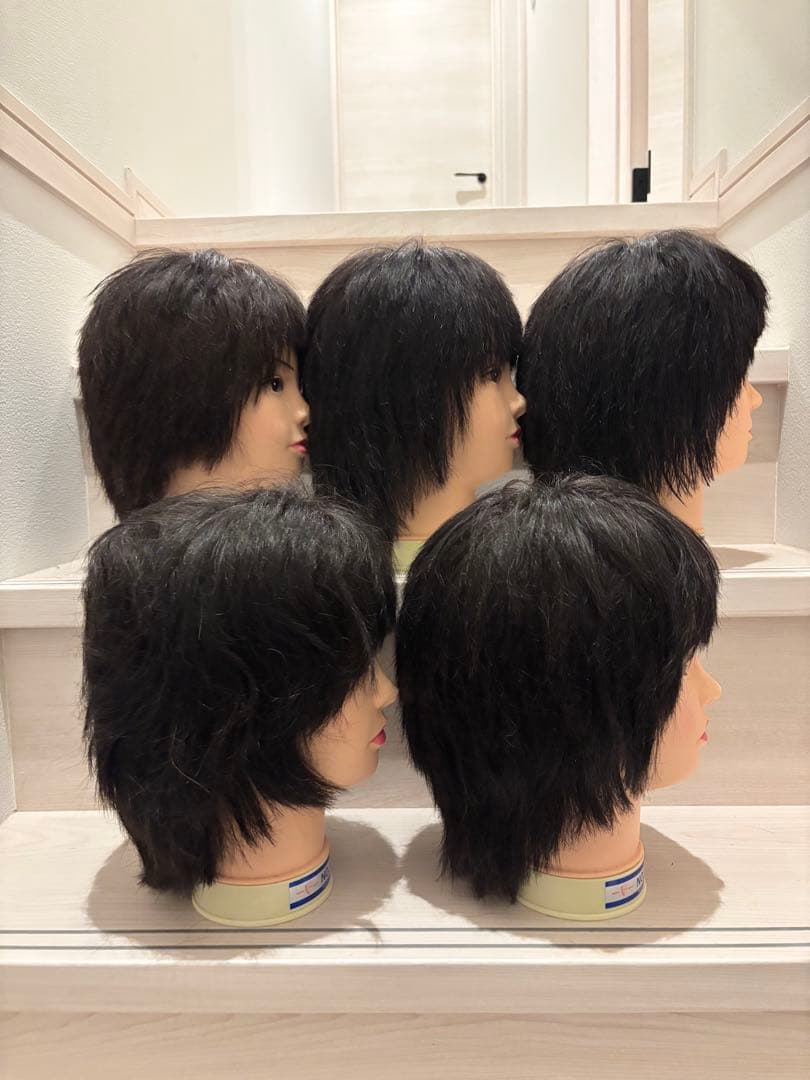 美容師国家試験カット済みウィッグ 5頭セット - メルカリ