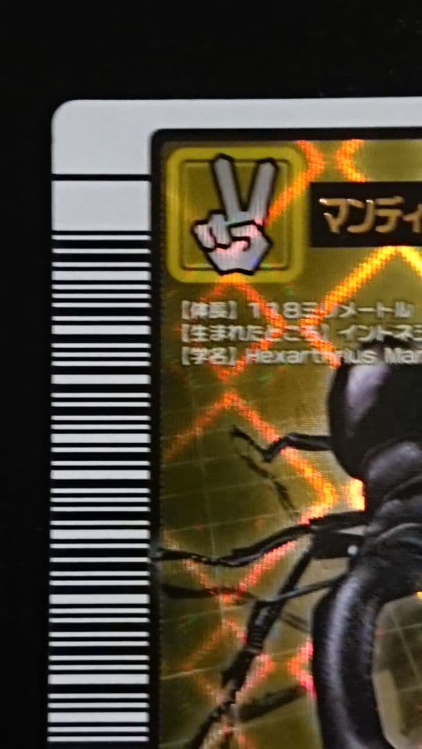 ムシキング マンディブラリスフタマタクワガタ 2004ファースト拡張