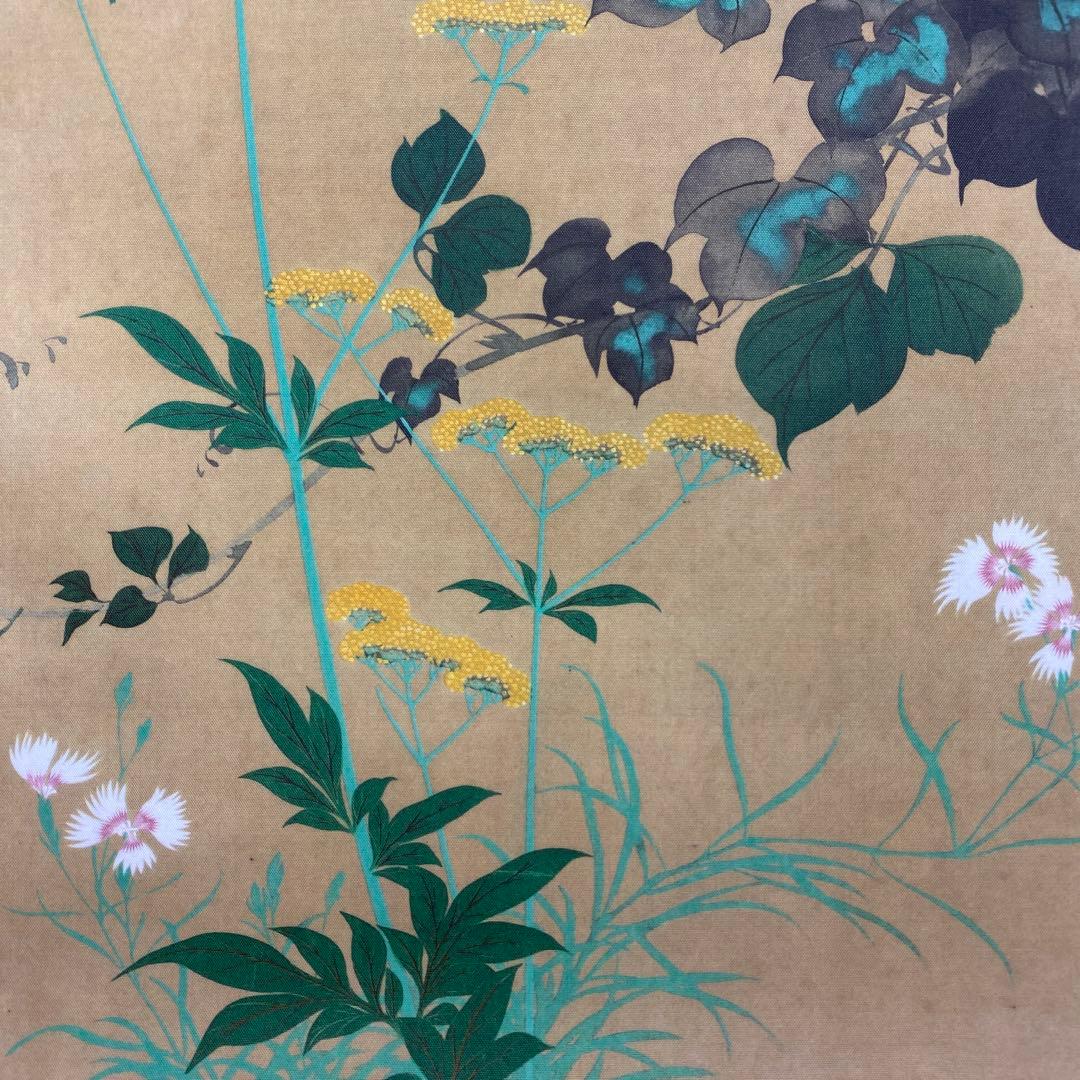 美品 掛け軸 酒井抱一筆 七草図 解説付き