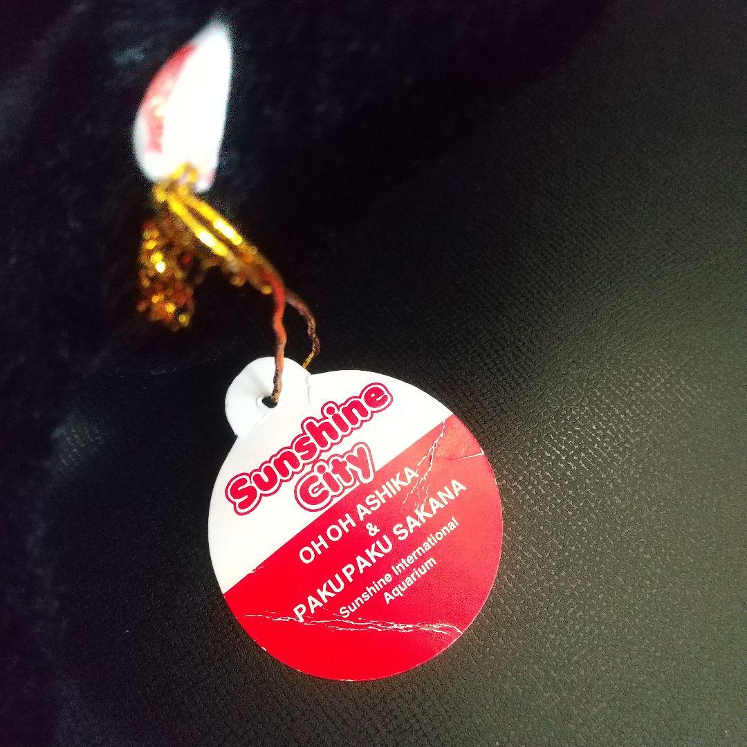 オウオウアシカ