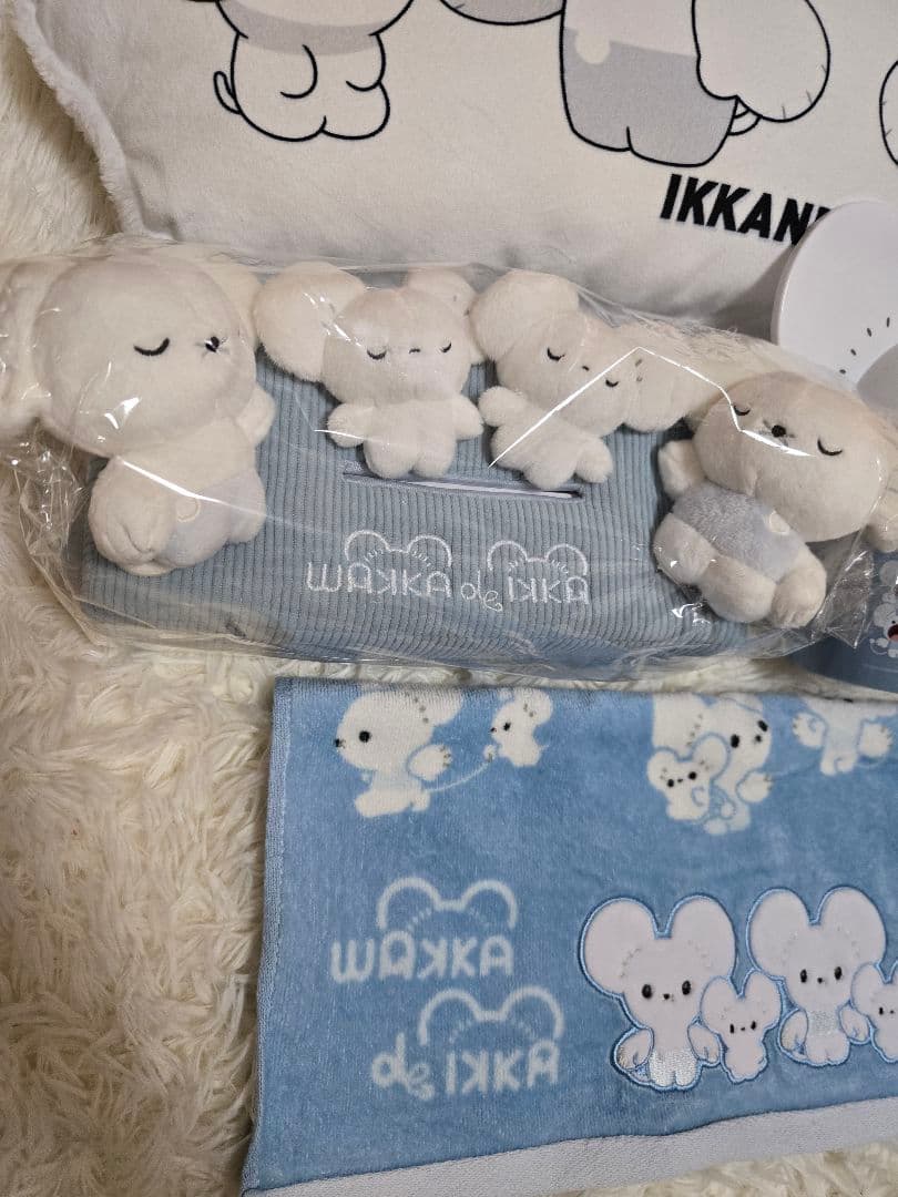 ４点セットポケットモンスターワッカネズミイッカネズミ