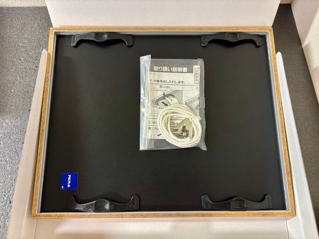 キミにきめた！　ピカチュウ　ファイングラフ　ポケットモンスター　映画　ポケモン