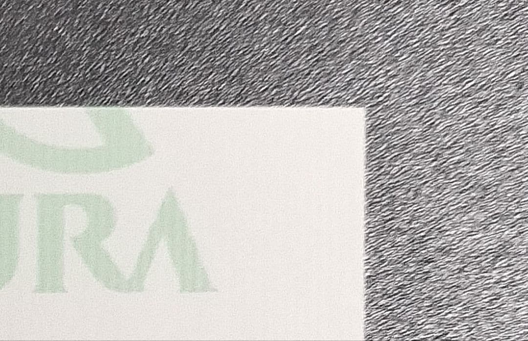 アスクビクターモア ドウデュース 弥生賞ディープインパクト記念 現地